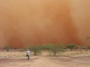 23 Iranian provinces affected by dust storms